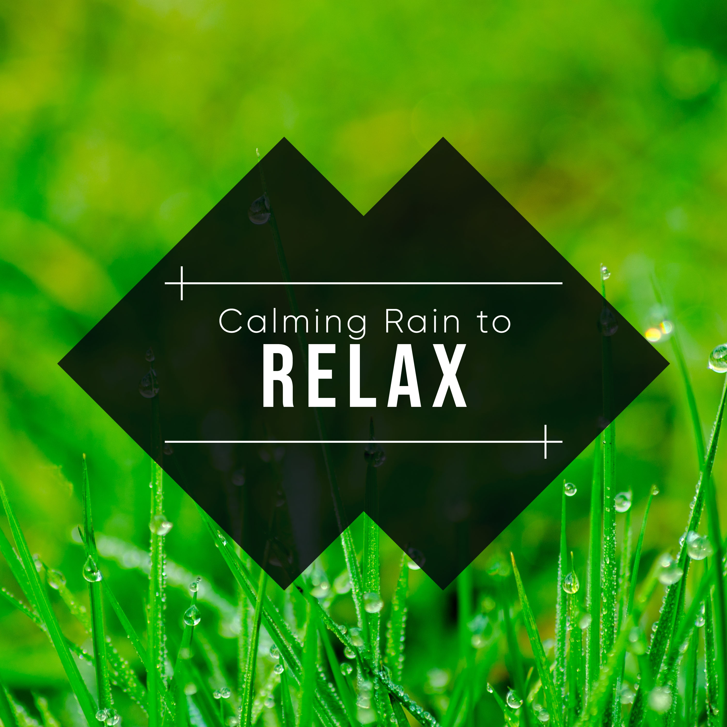 #20 Calming Rain Tracks to Calm the Mind & Relax