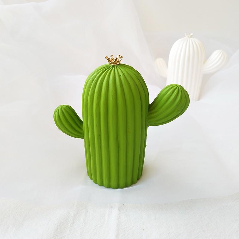 Cactus Love