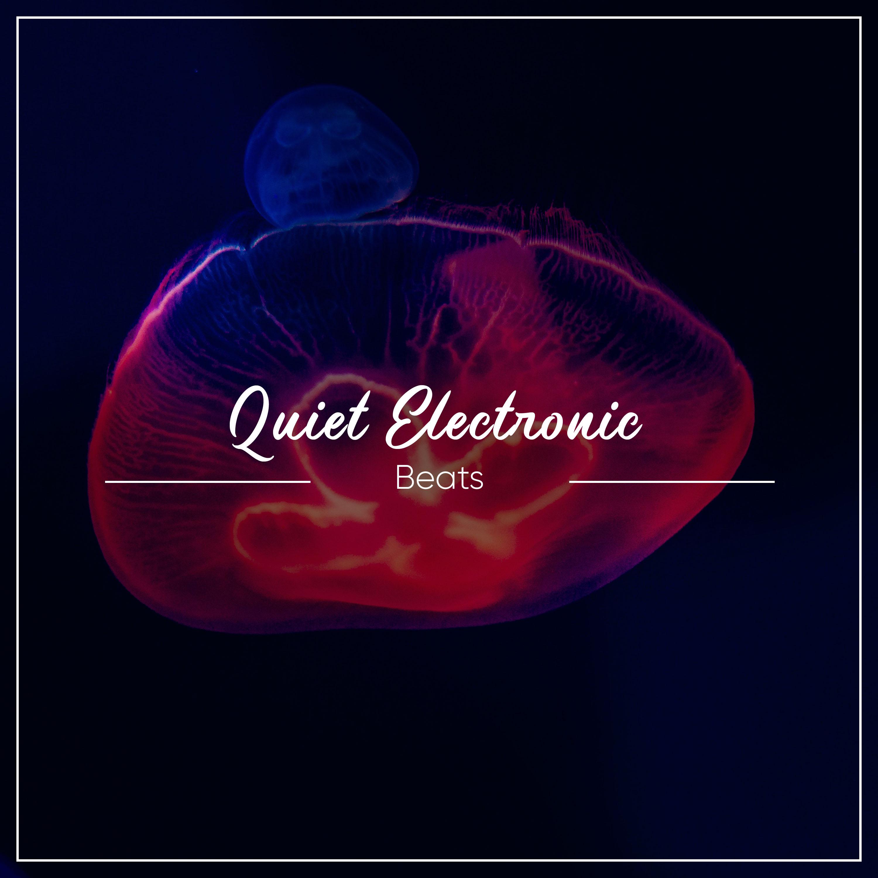 #18 Quiet Electronic Beats For Sleep