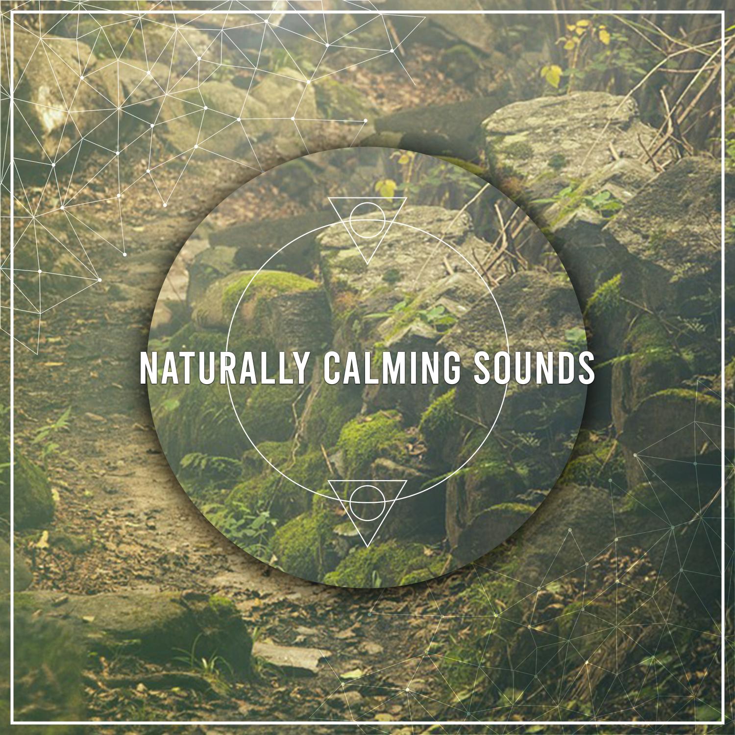 20 Naturally Calming Songs for Inner Peace