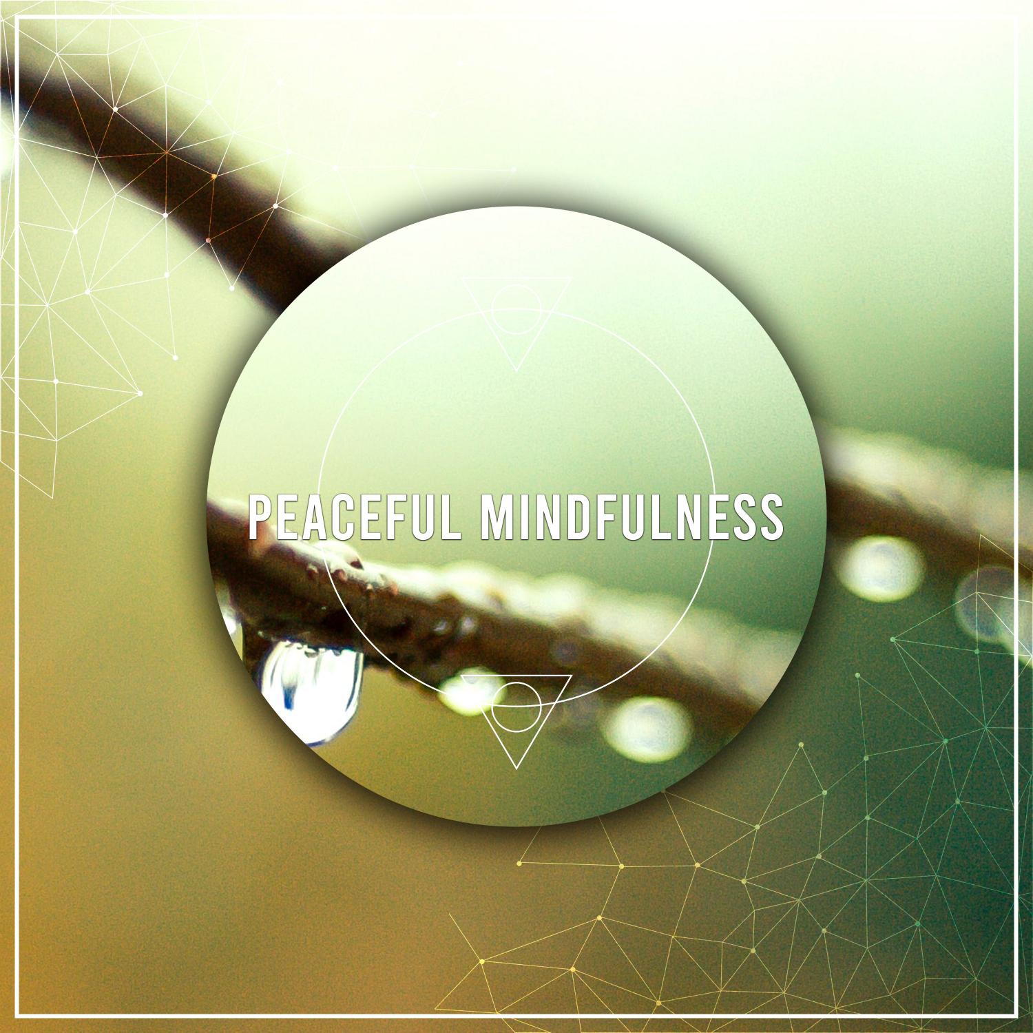 17 Peaceful Noises for Mindfulness