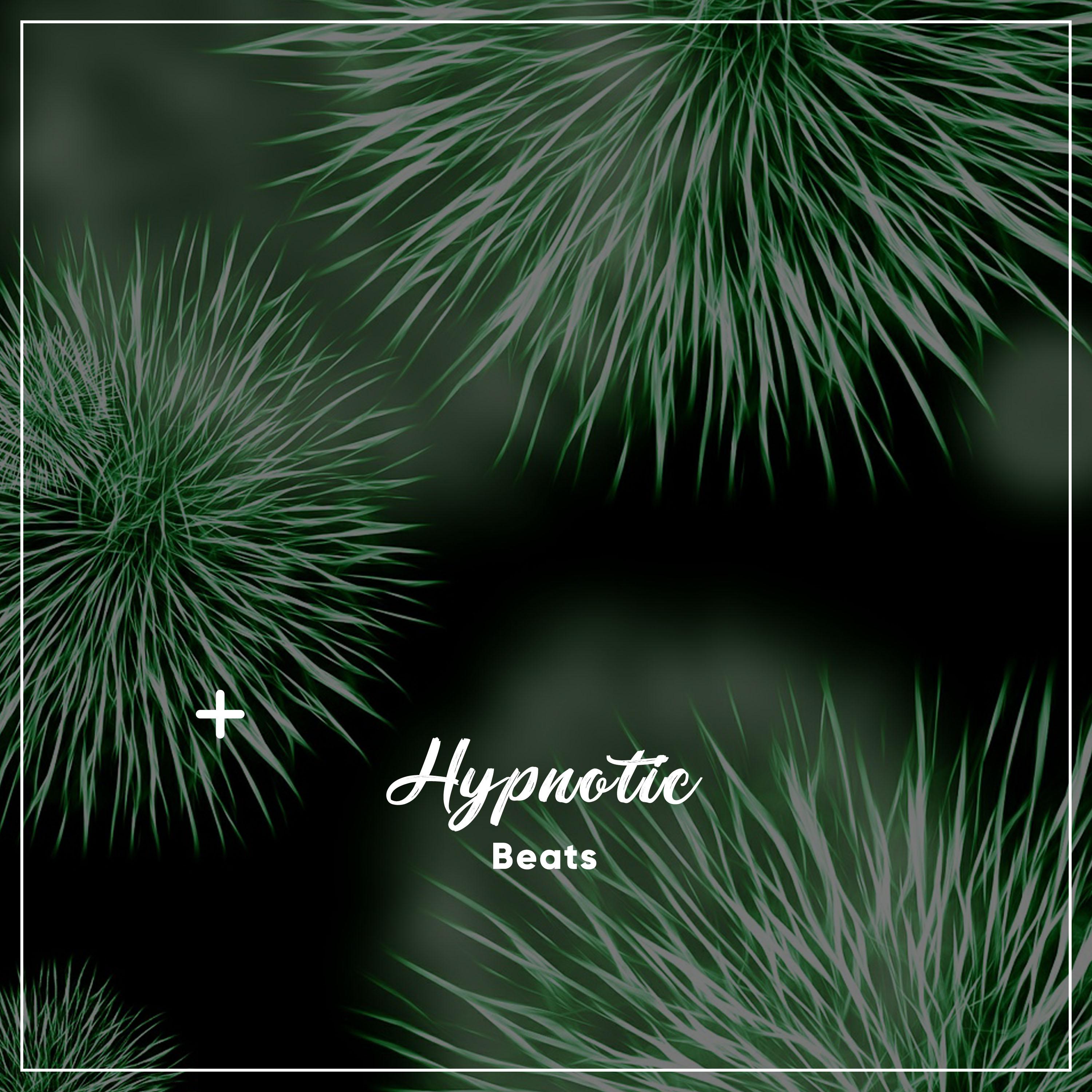 14 Hypnotic Beats