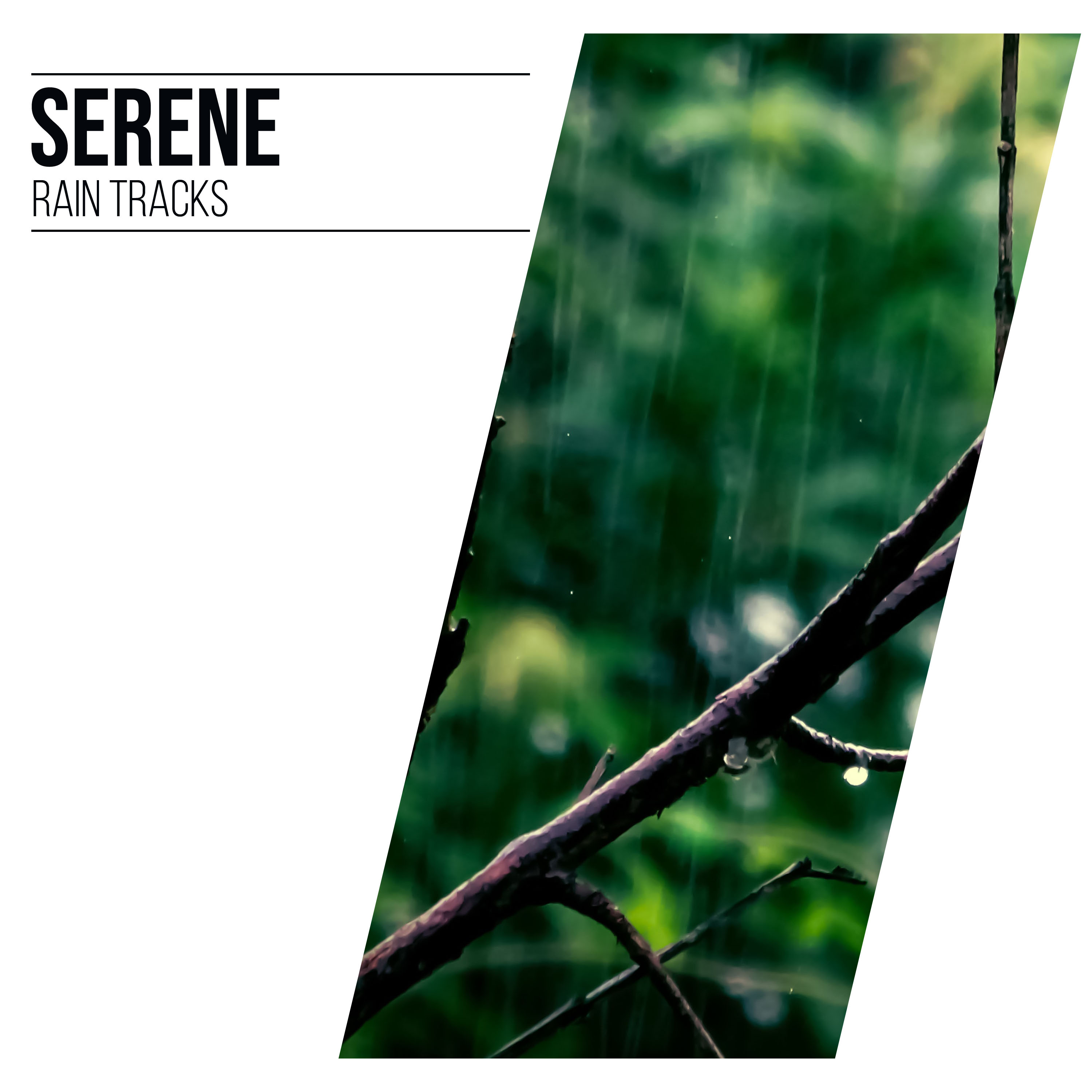 11 Serene Rain Tracks for Meditation or Sleep