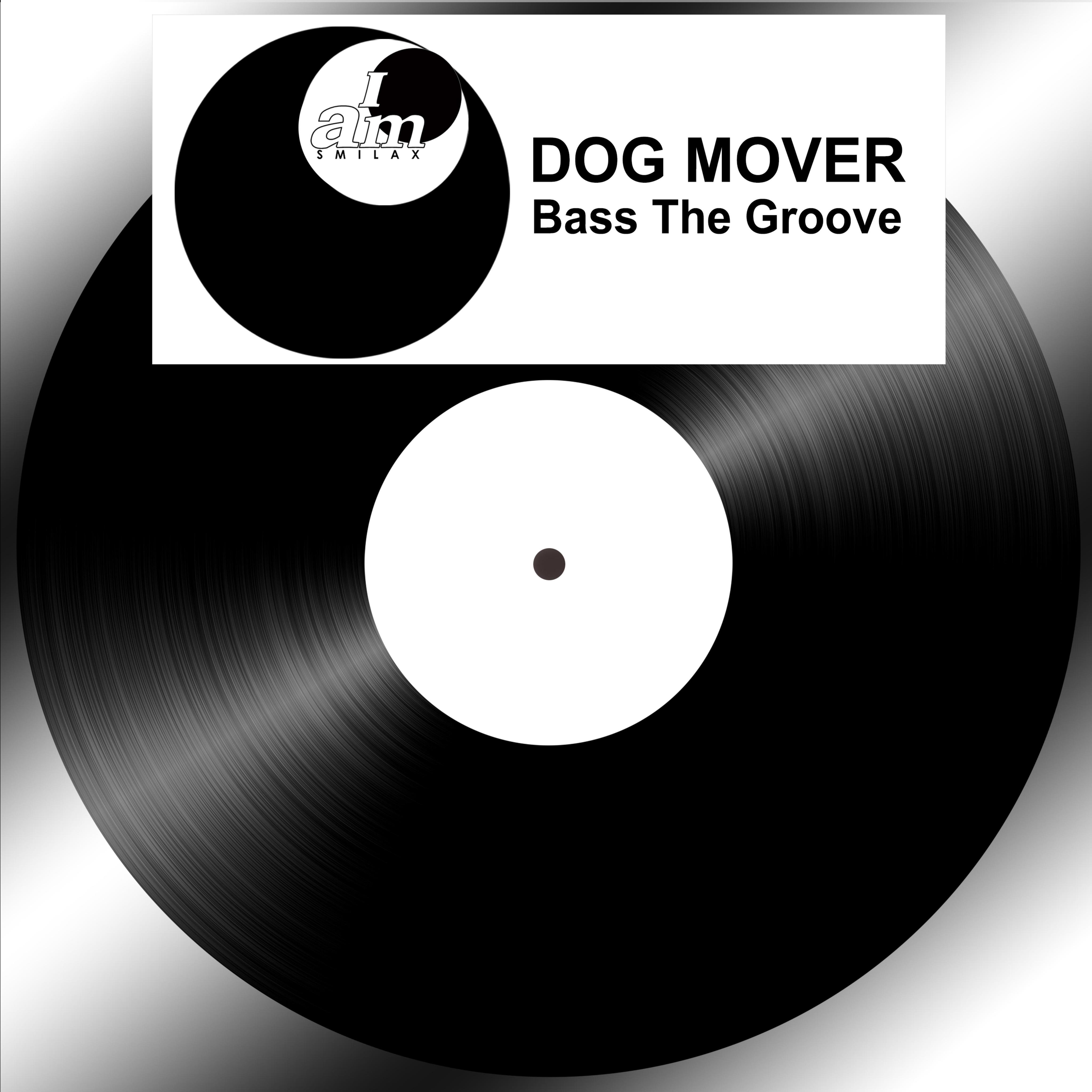 Bass The Groove