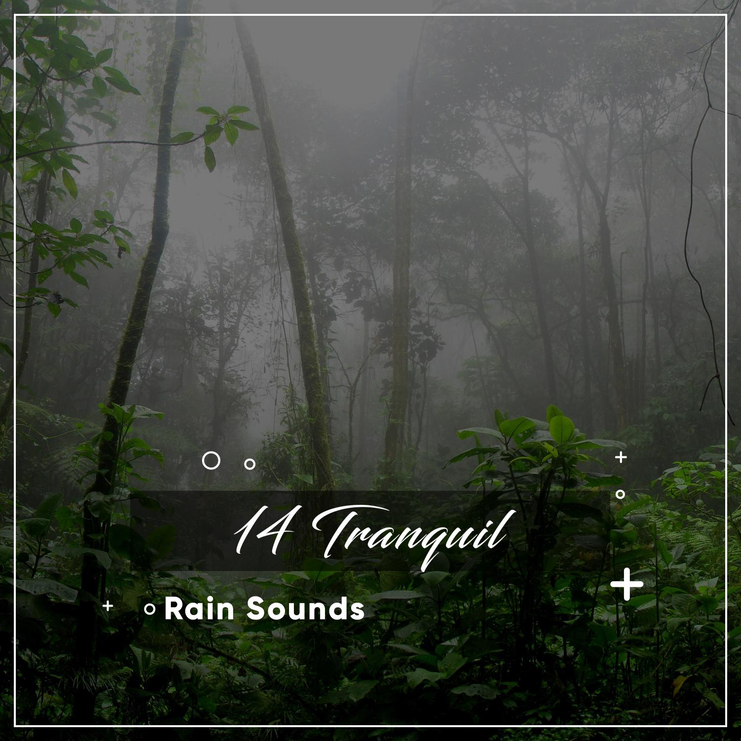 14 Tranquil Rain Sounds to Drift Off & Sleep