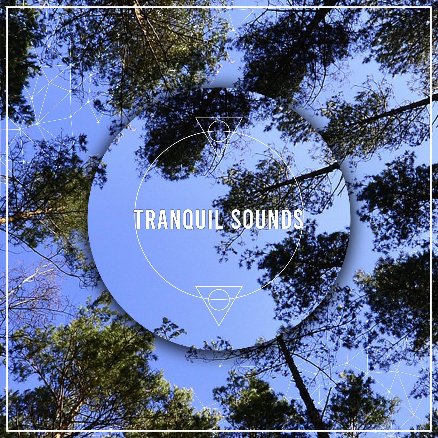 12 Tranquil Sounds