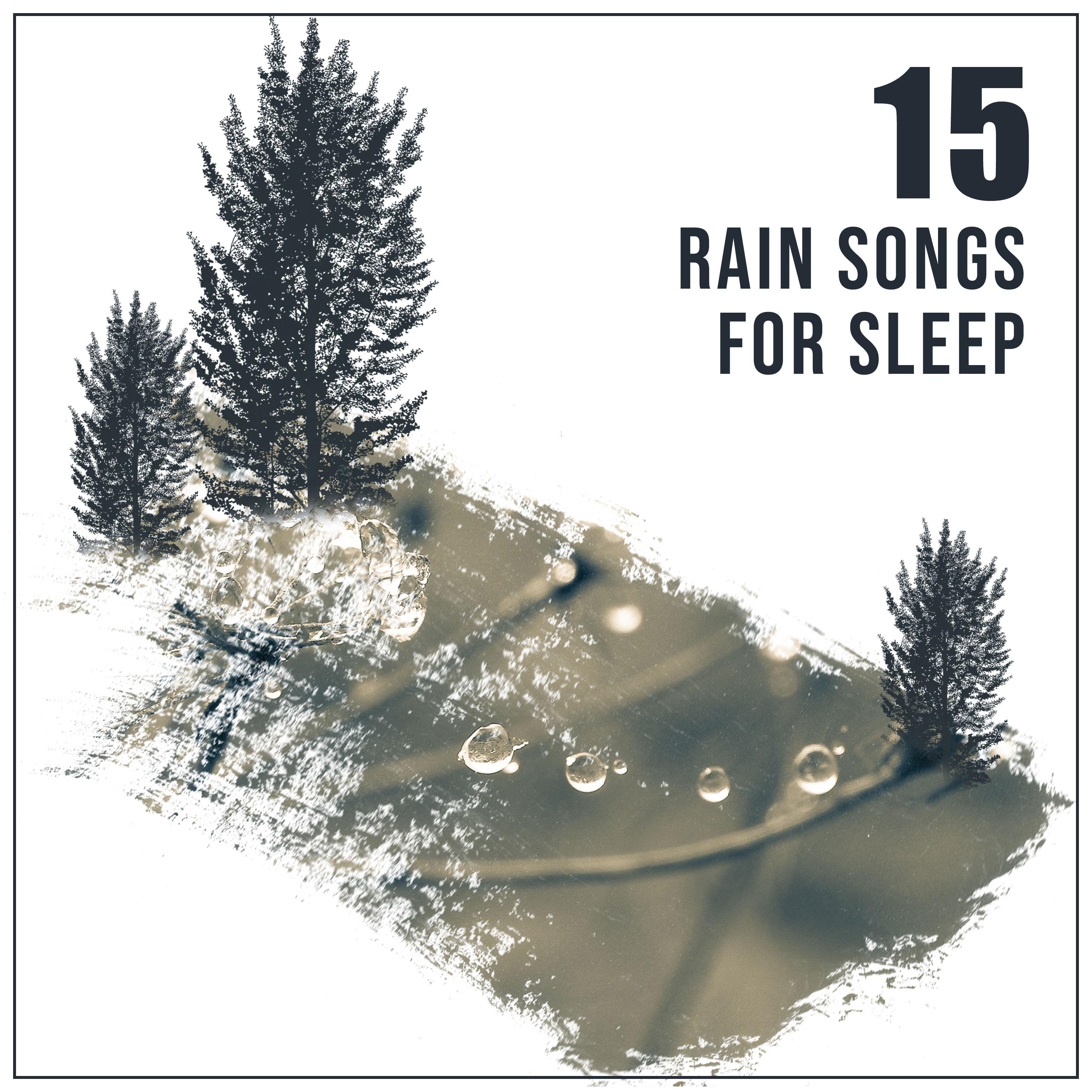 15 RainSongs to Sleep Eight Hours