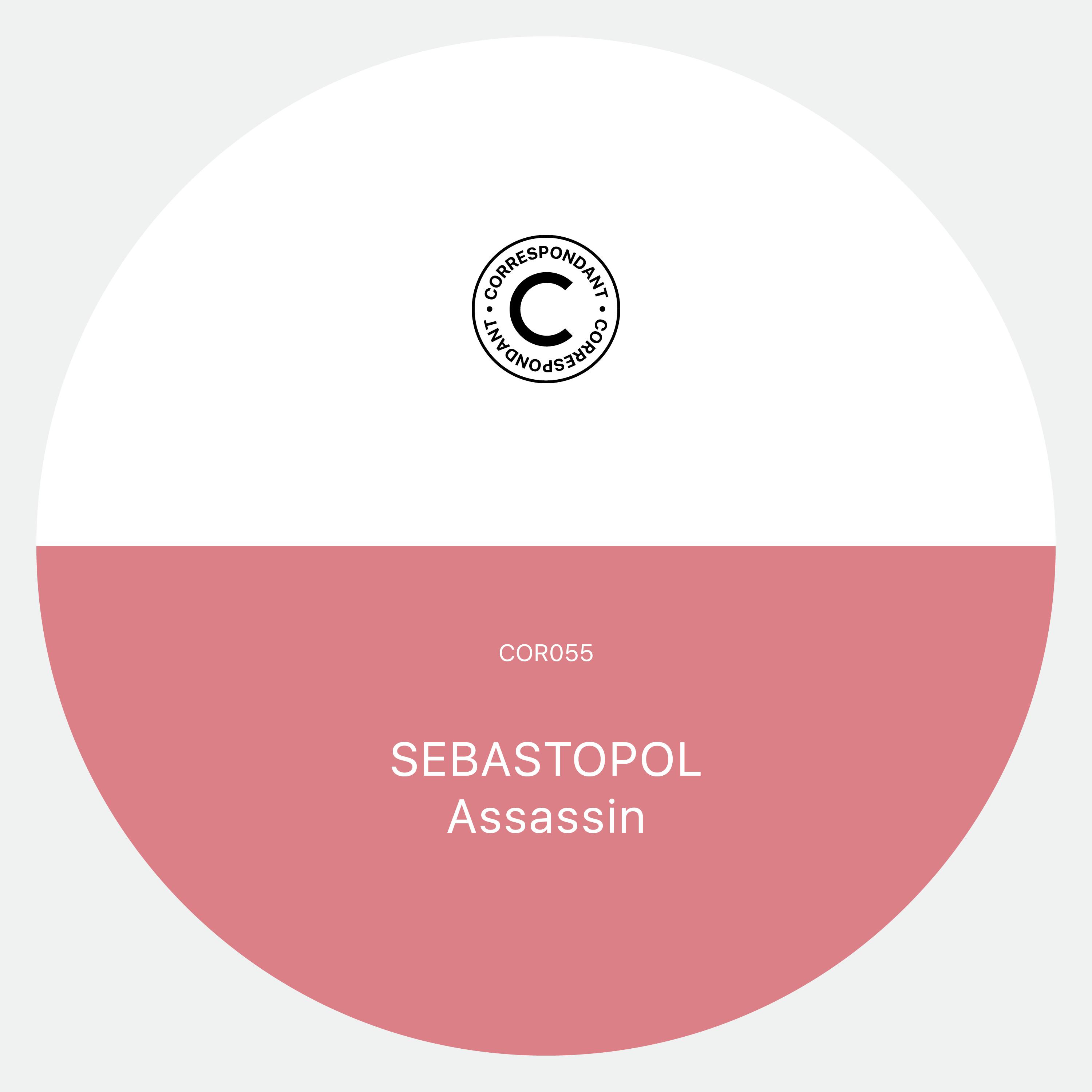 Assassin (Alessandro Adriani Remix)