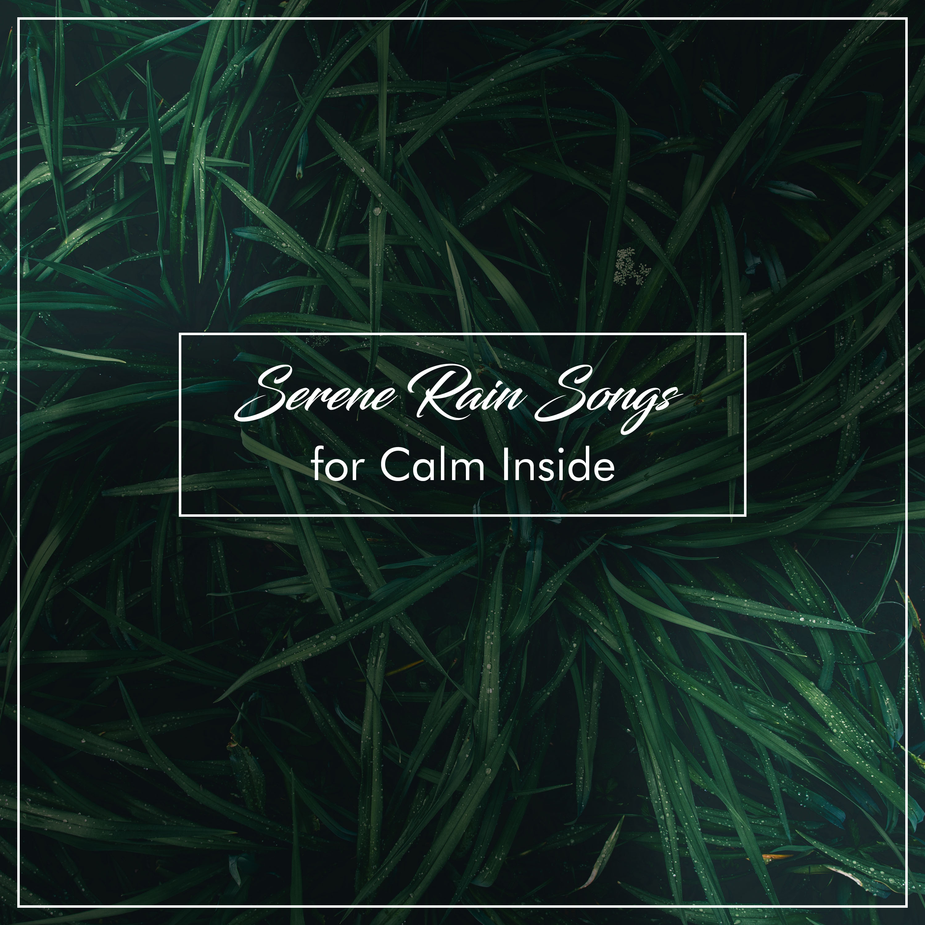 17 Serene Rain Songs for Calm Inside