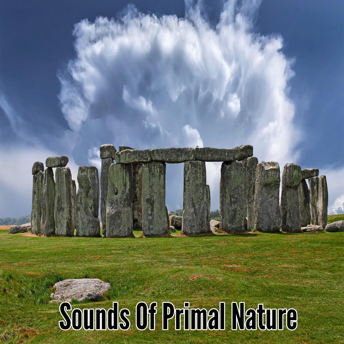 Sounds Of Primal Nature