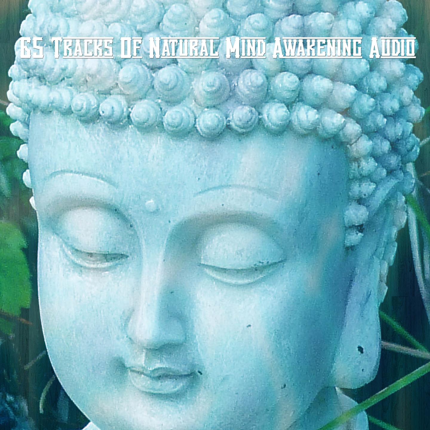 65 Tracks Of Natural Mind Awakening Audio