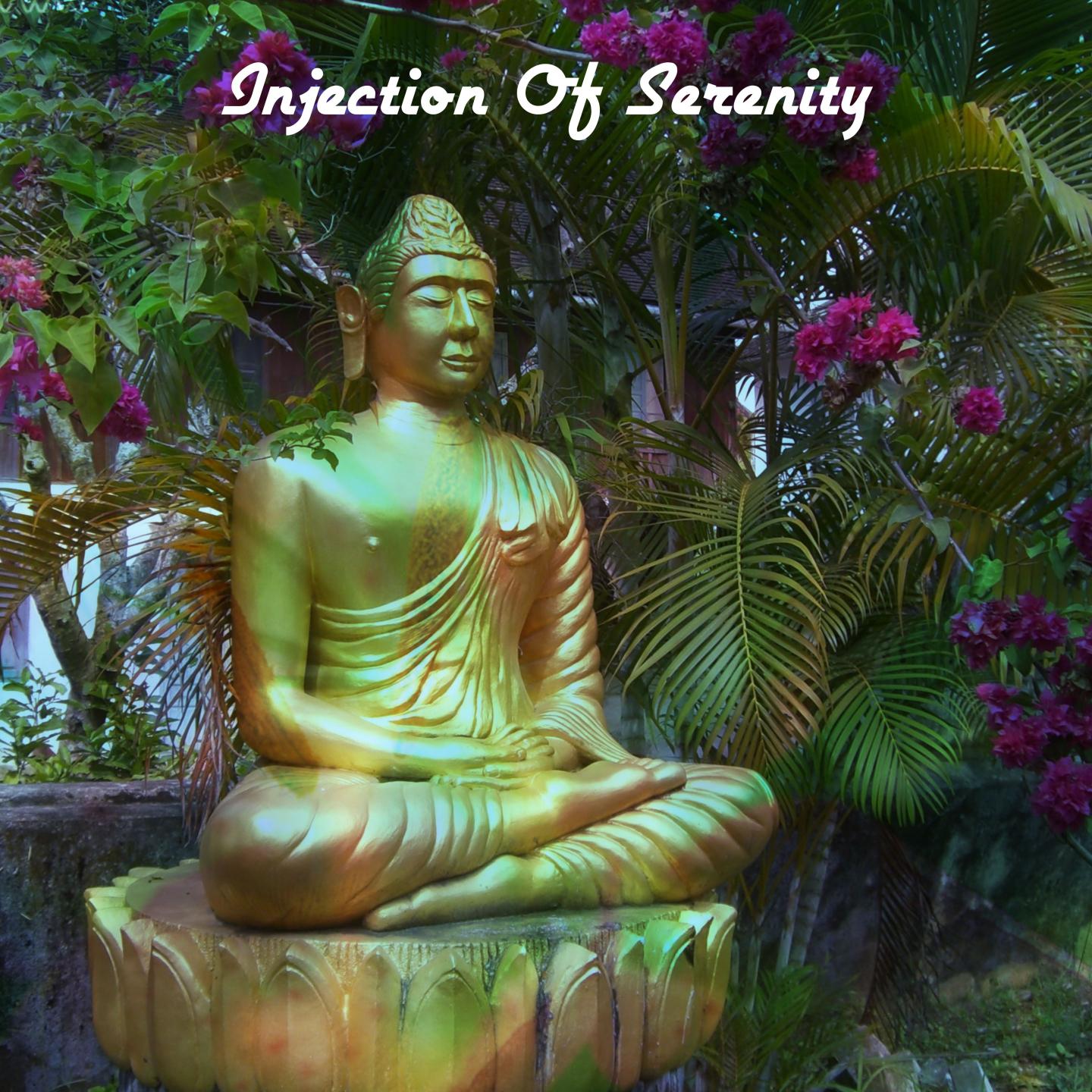 Injection Of Serenity