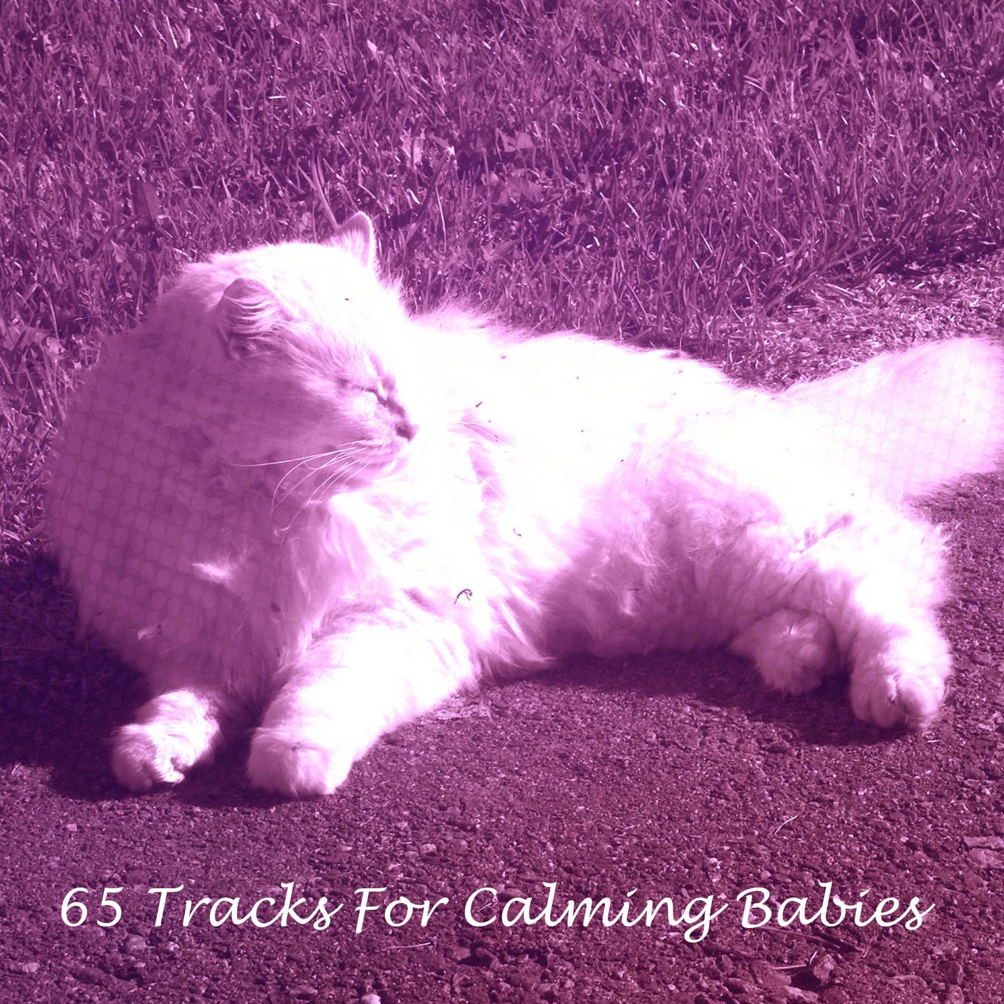 65 Tracks For Calming Babies