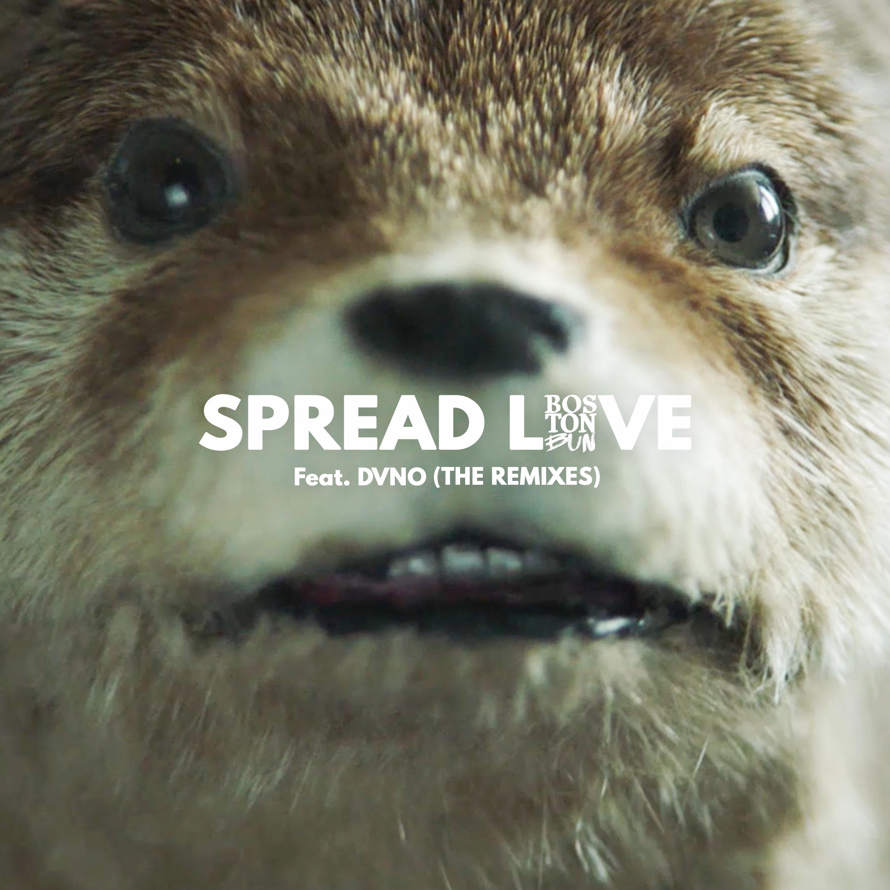 Spread Love (Paddington) [Paul Woolford Remix]