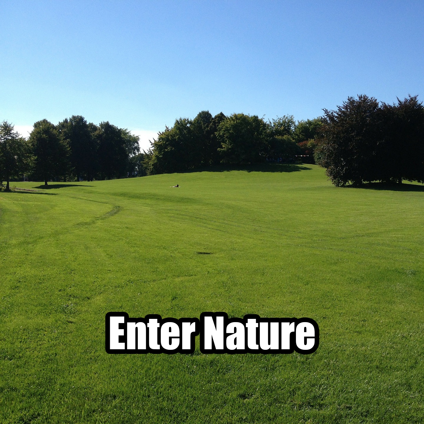 Enter Nature