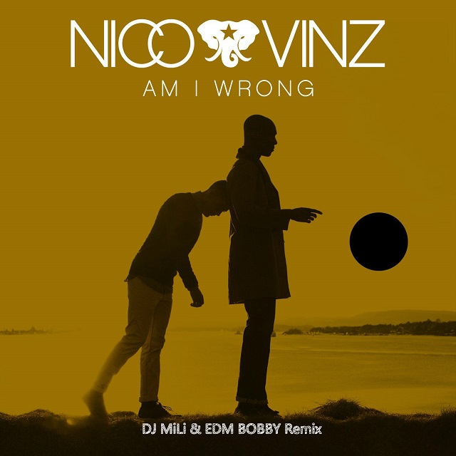 Am I Wrong (Remix)