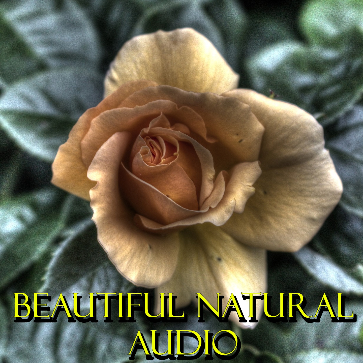 Beautiful Natural Audio
