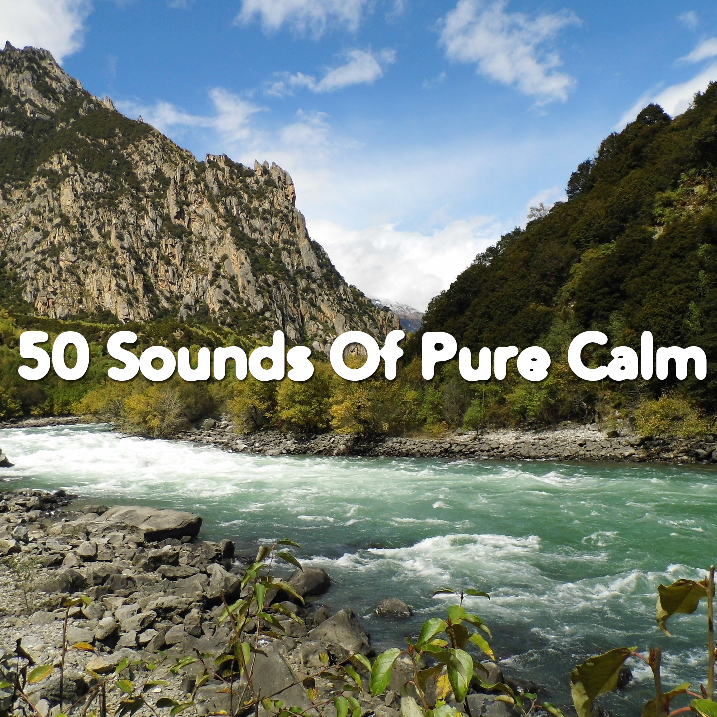 50 Sounds Of Pure Calm