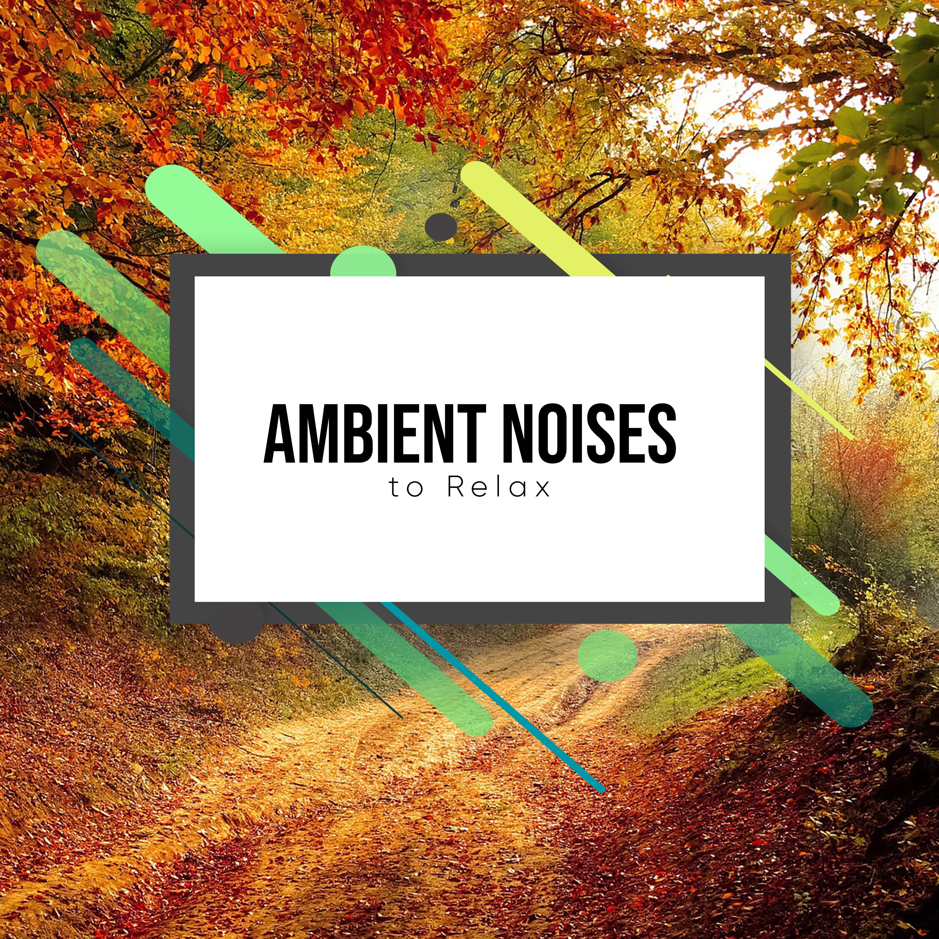 12 Relaxing, Ambient Noises to Relax