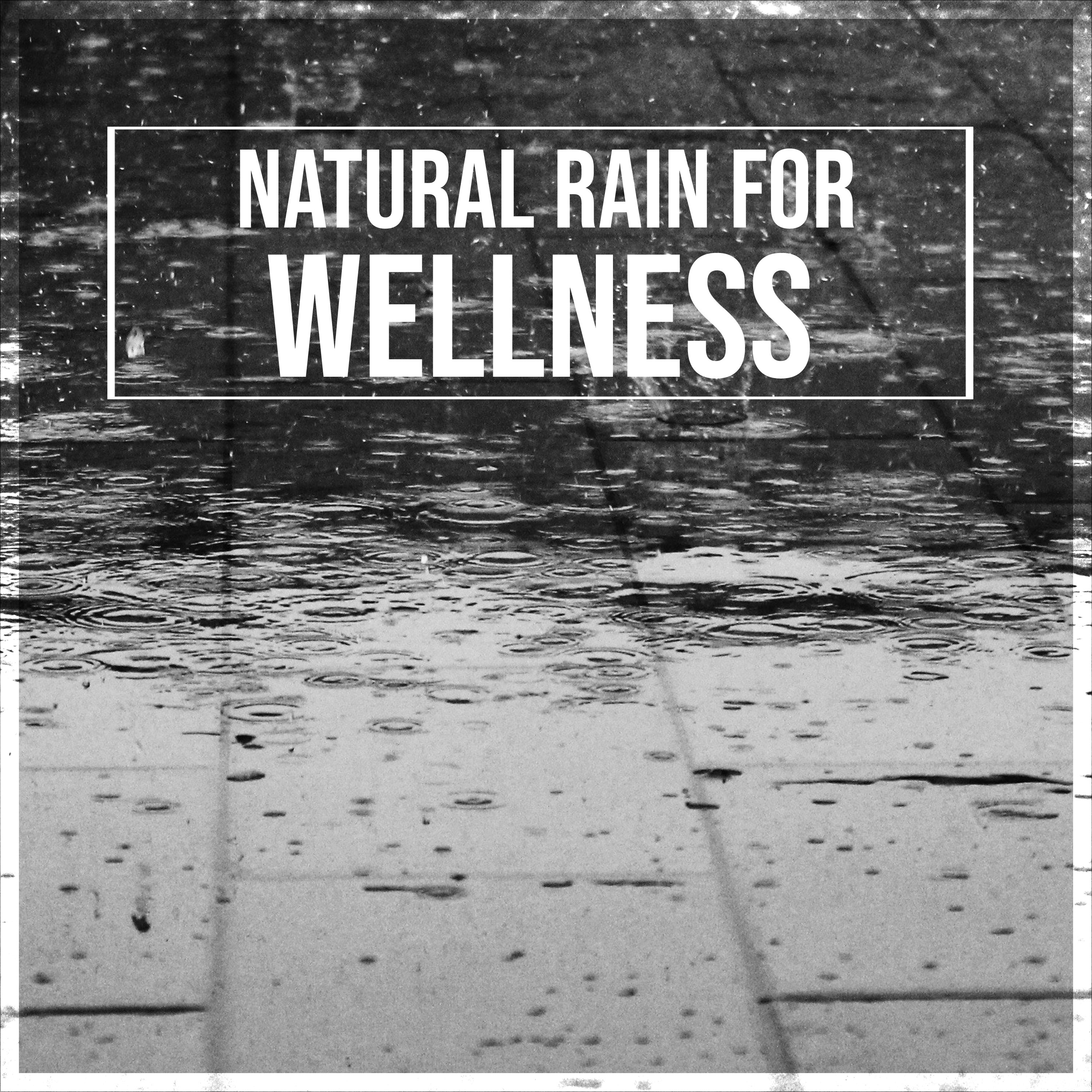 12 Natural Rain Tracks for Enhanced Wellness