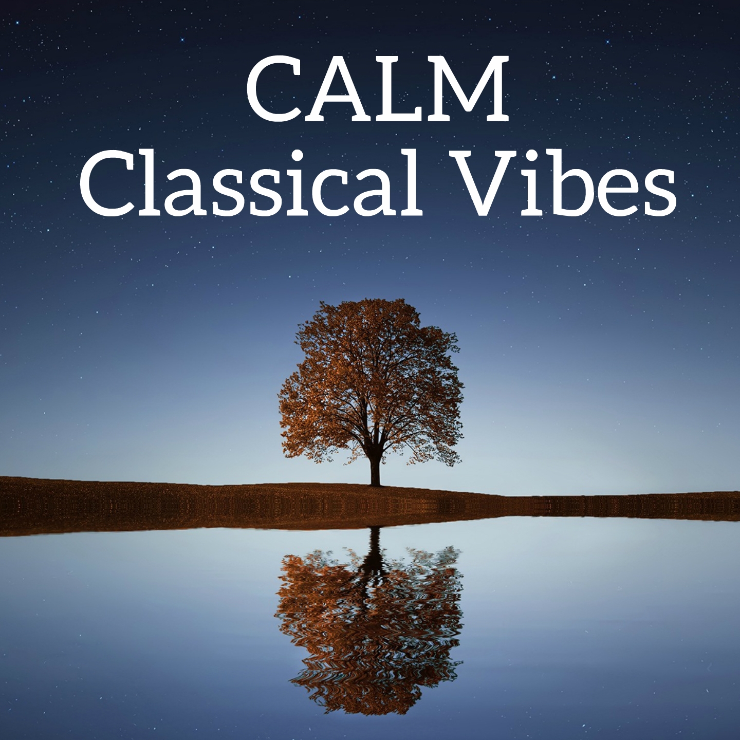 Calm Classical Vibes