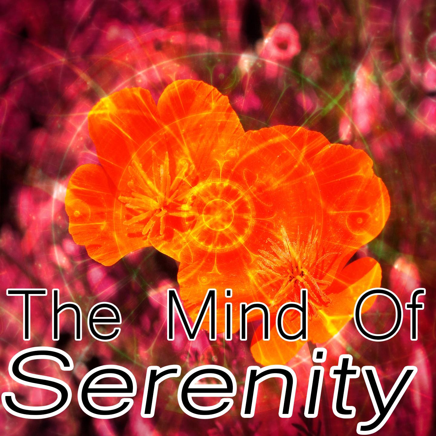 The Mind Of Serenity