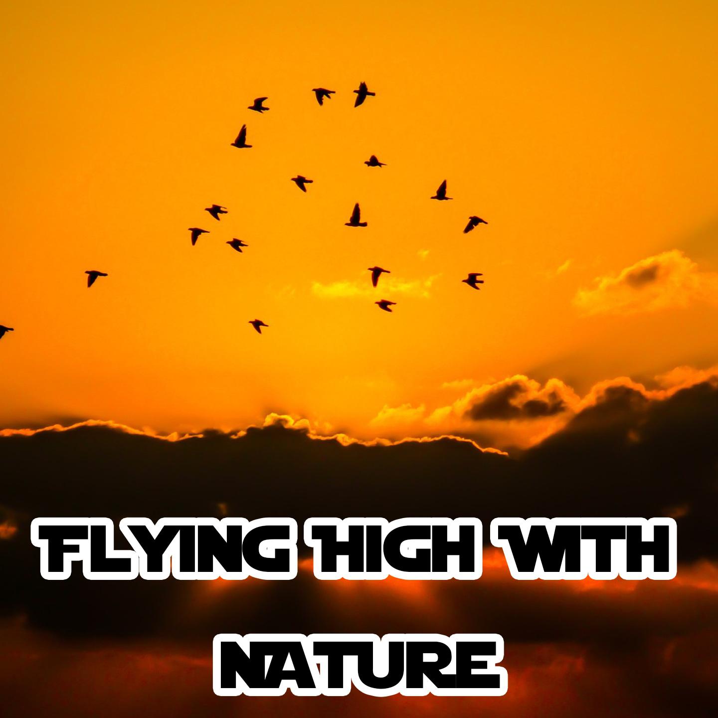 Flying High With Nature