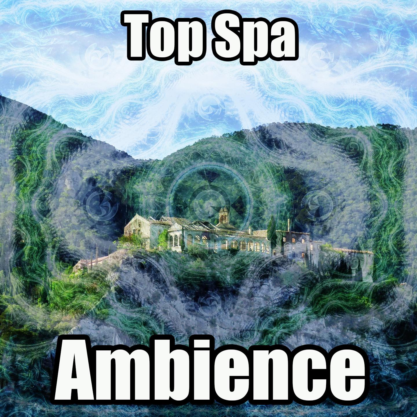 Top Spa Ambience