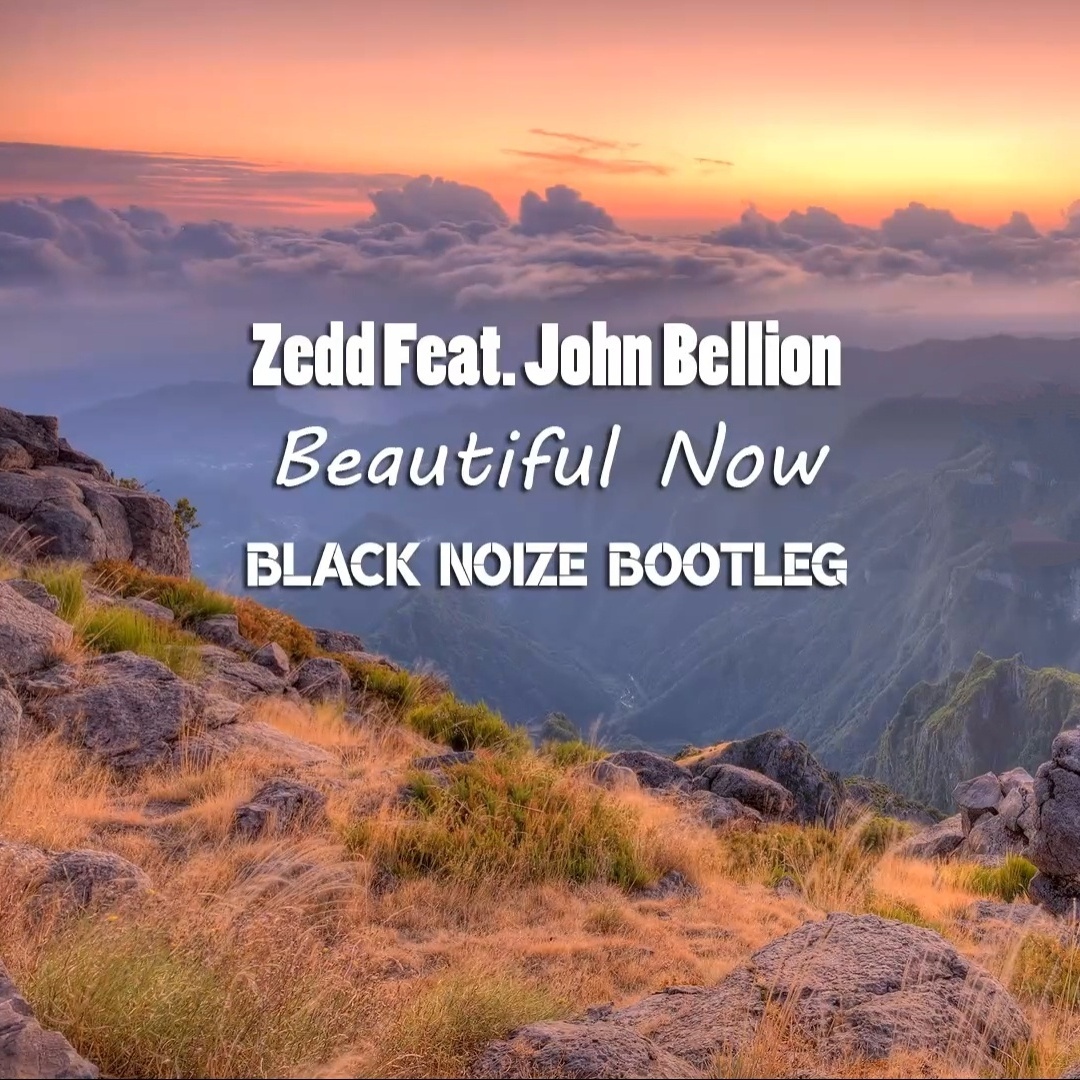 Beautiful Now (Black Noize Bootleg)
