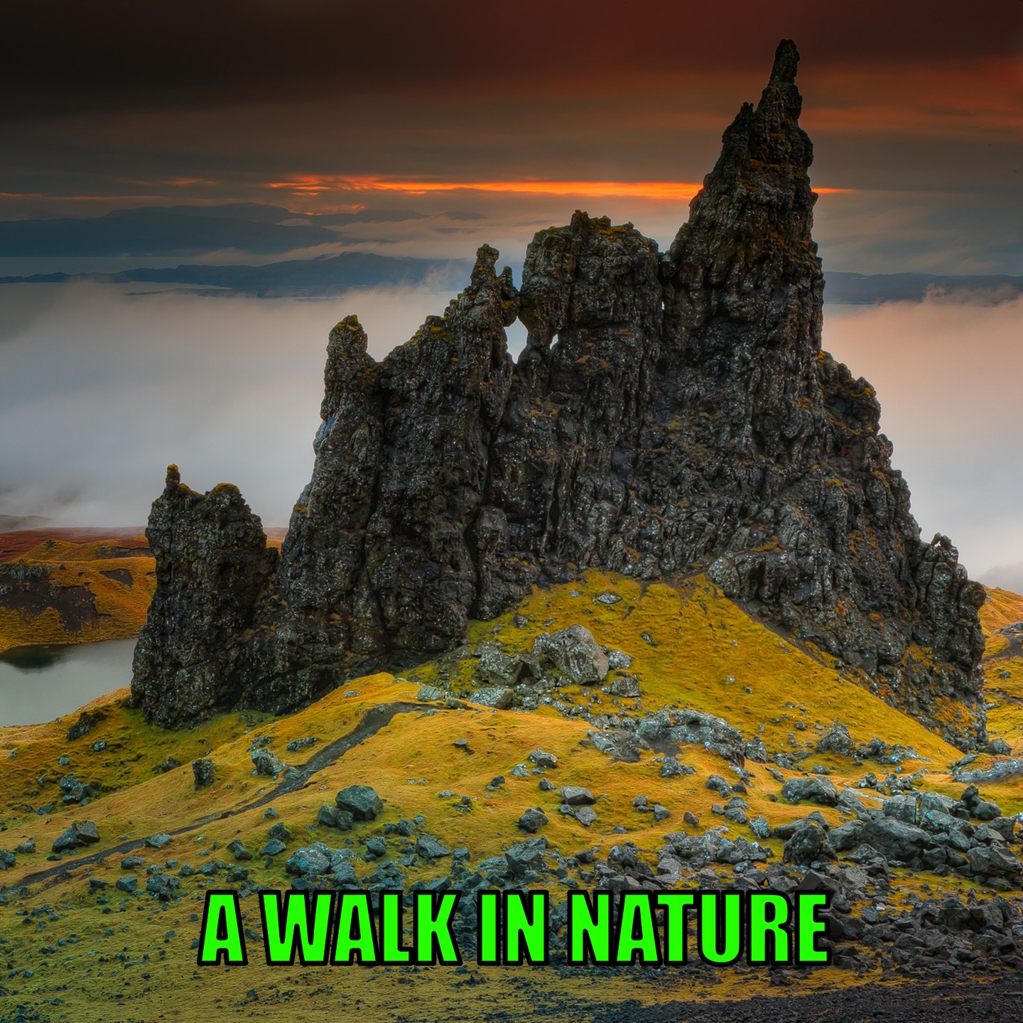 A WALK IN NATURE