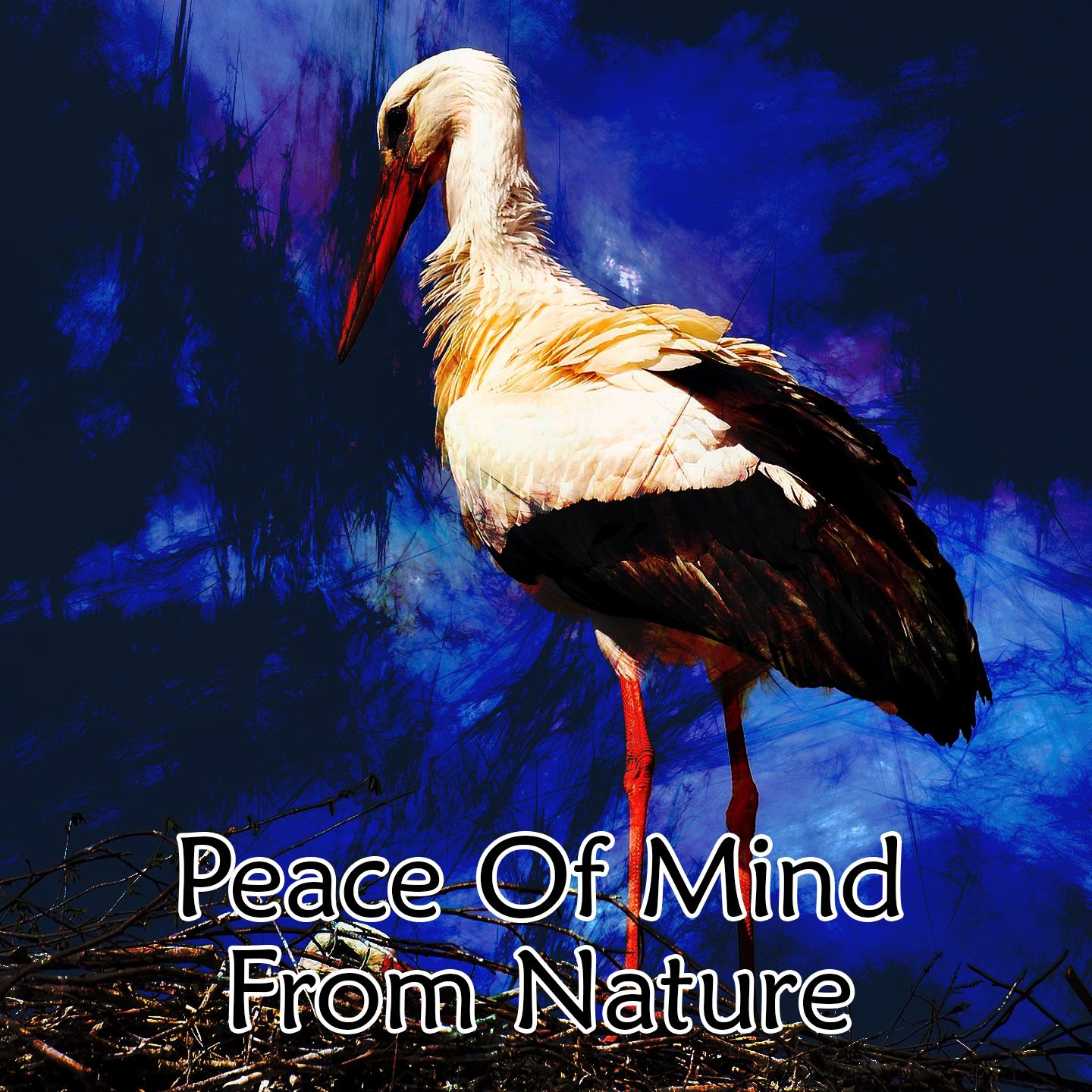 Peace Of Mind From Nature