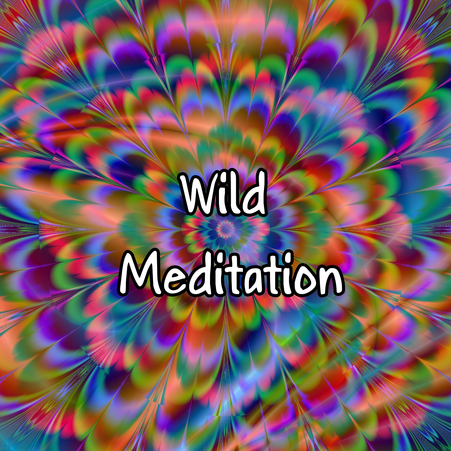 Wild Meditation