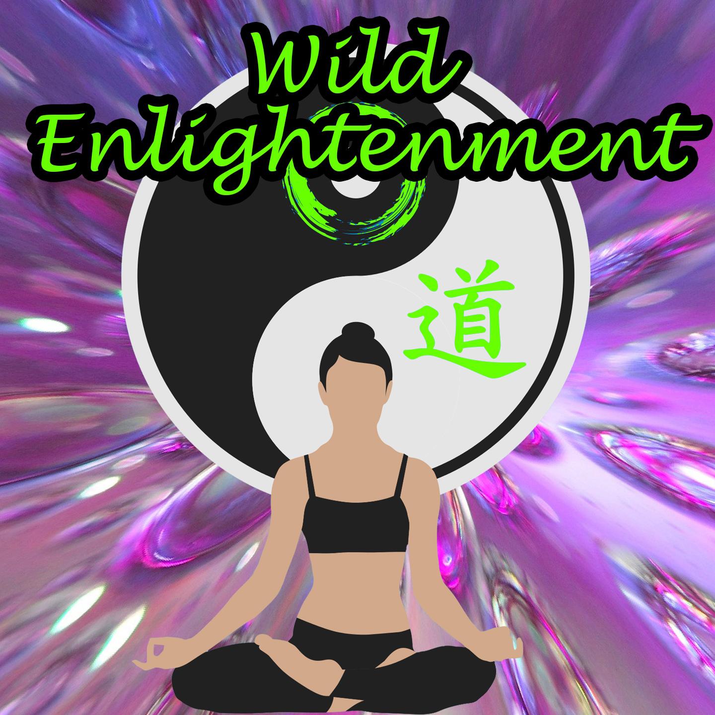 Wild Enlightenment
