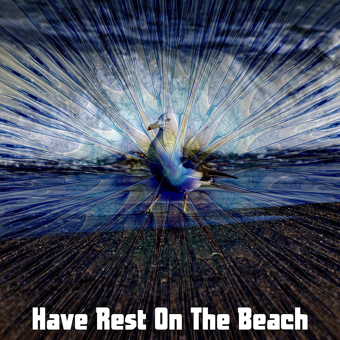 Have Rest On The Beach