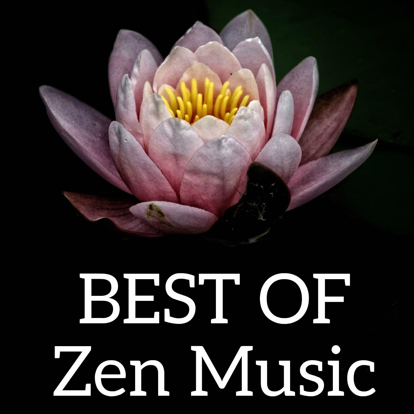Best of Zen Music