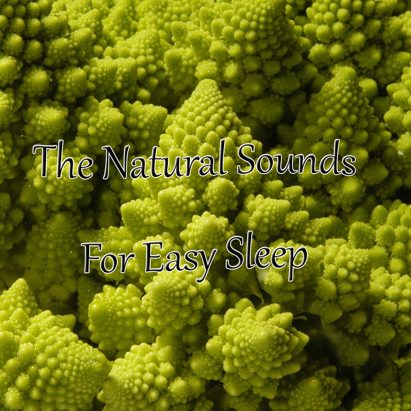 The Natural Sounds For Easy Sleep