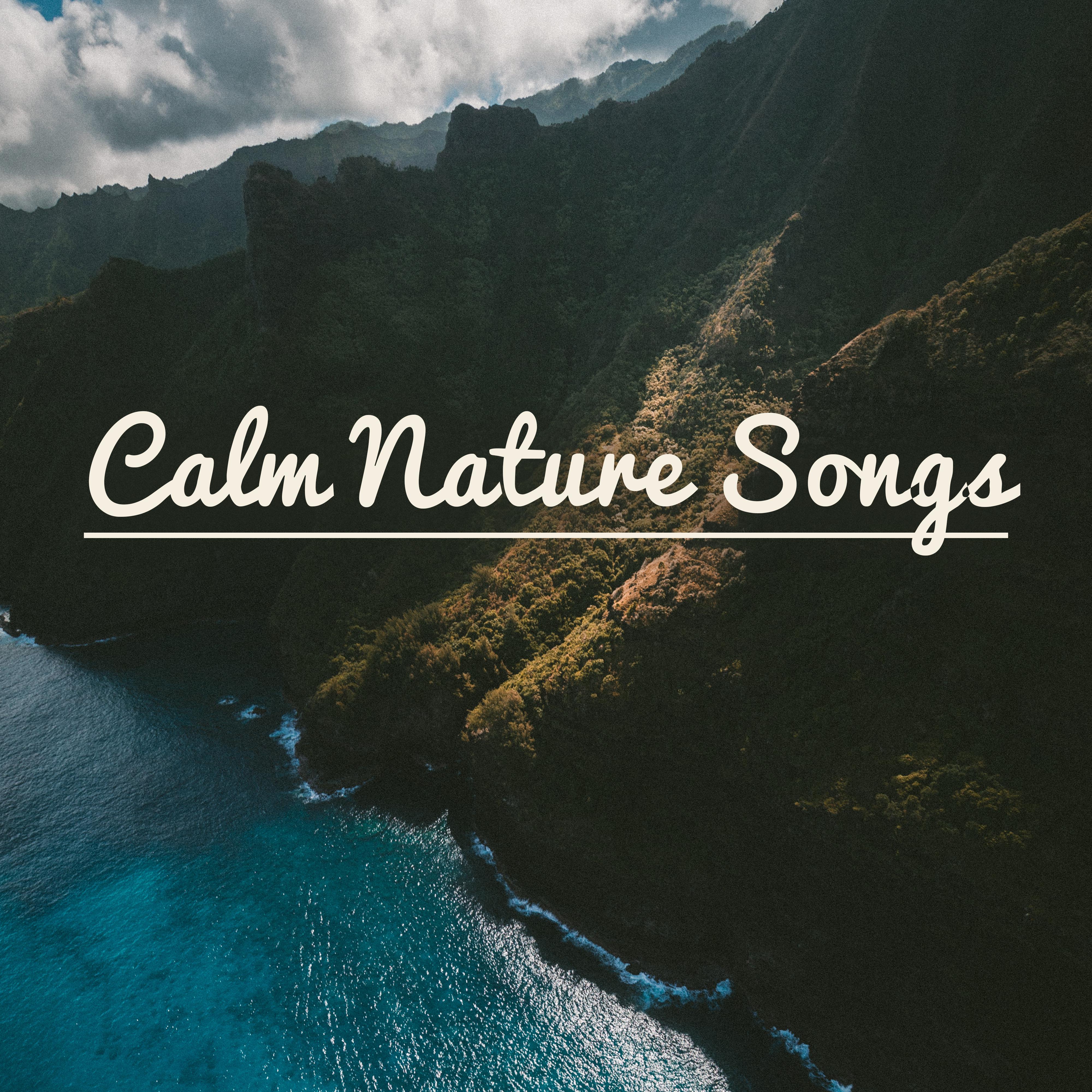 Calm Nature Songs