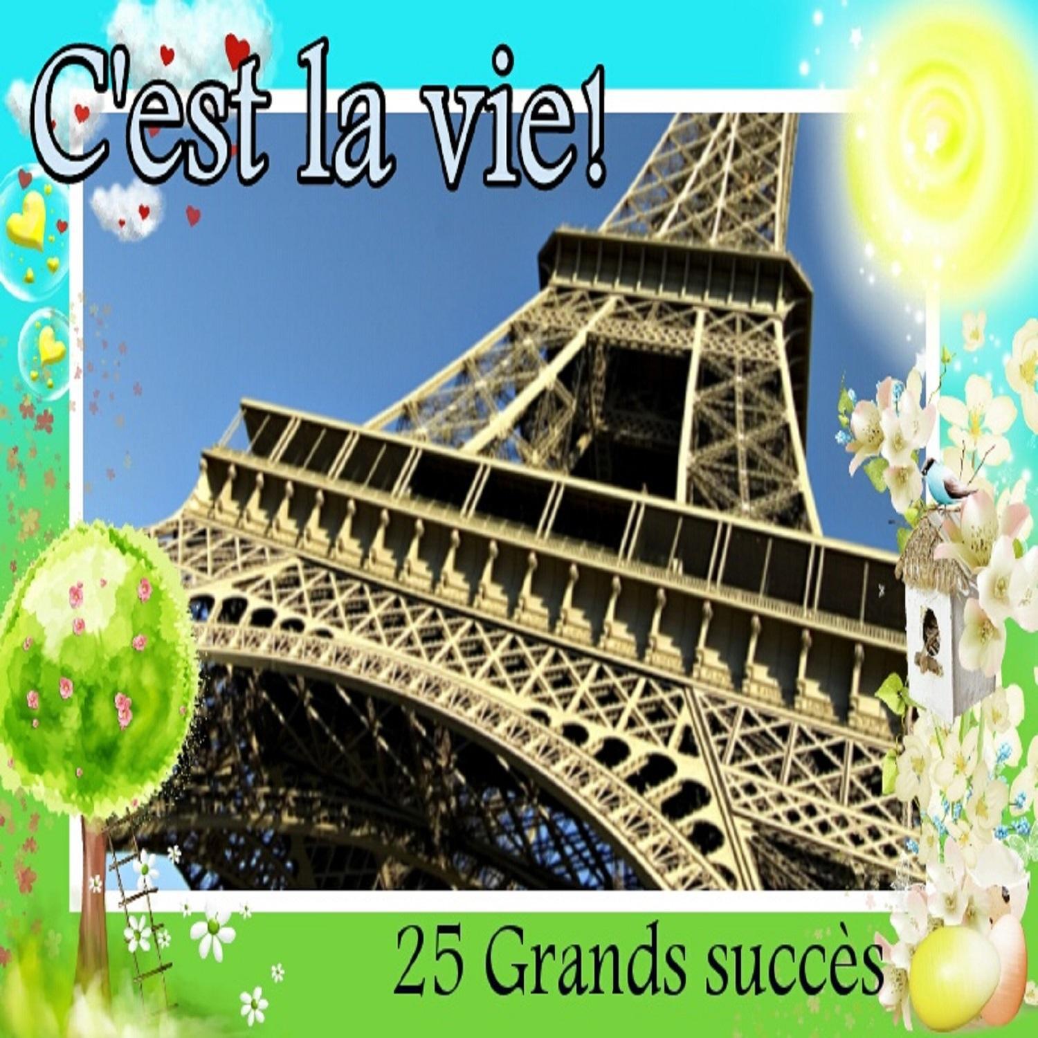 C' est la vie!  25 Grands succe s