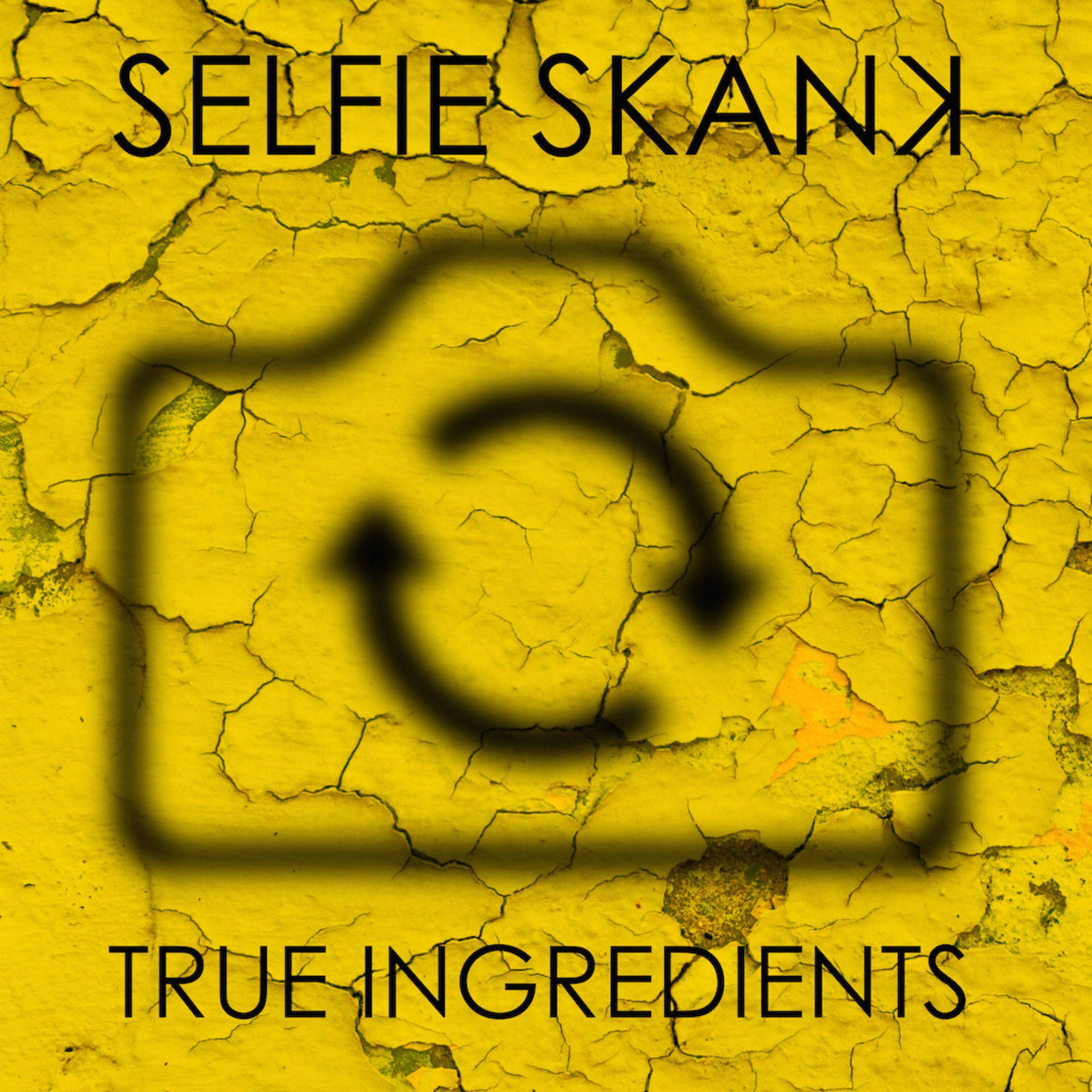 Selfie Skank (Instrumental)