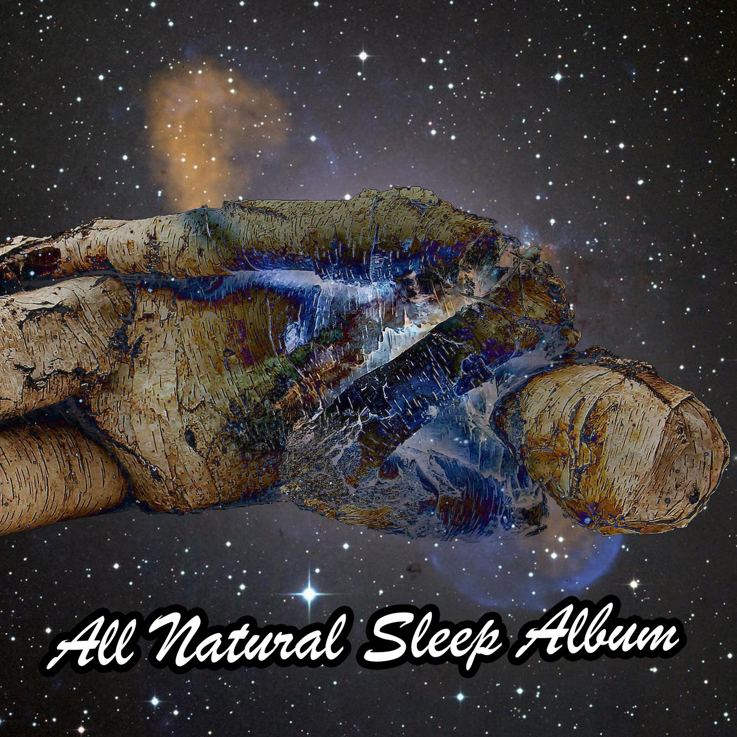 All Natural Sleep Album