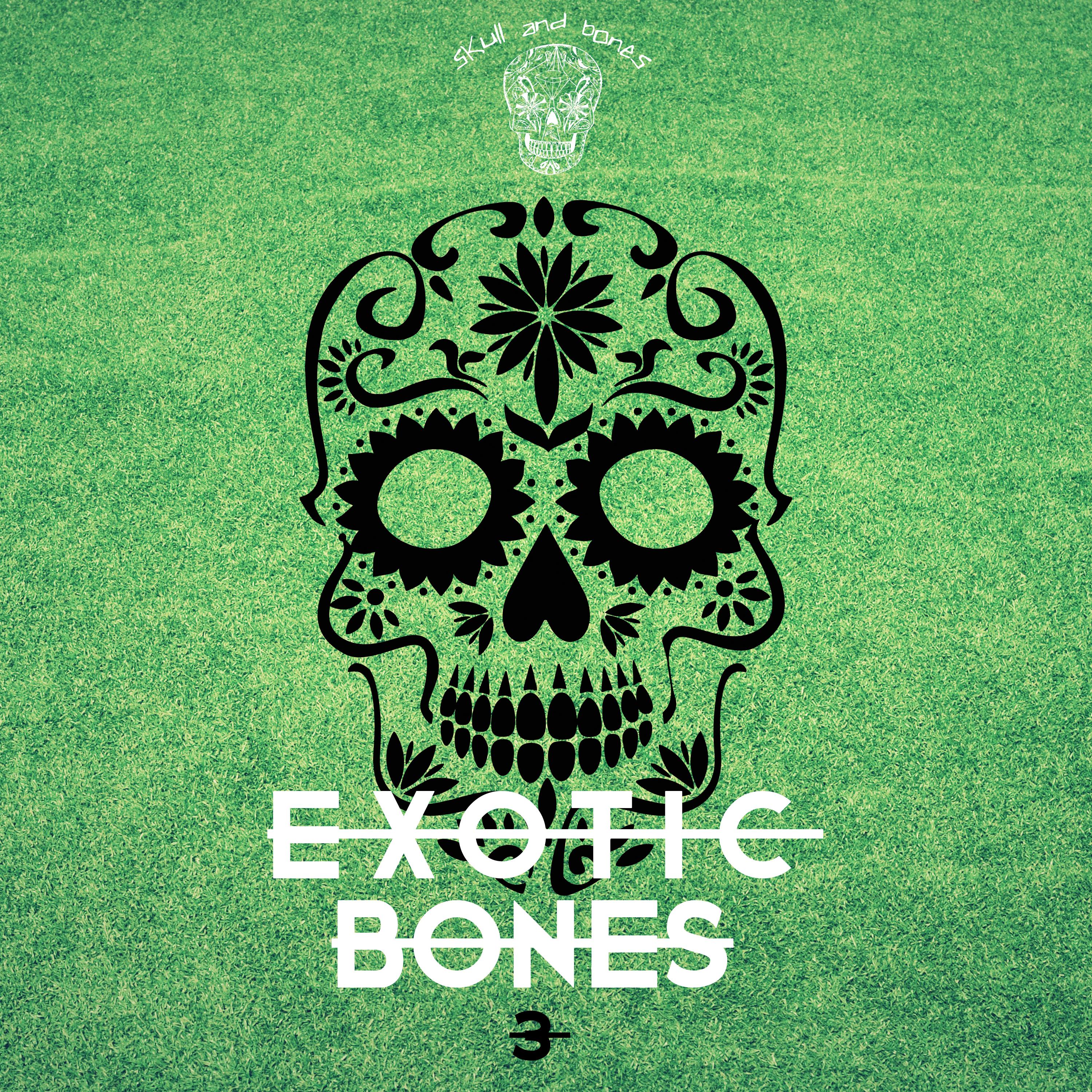 Exotic Bones 3
