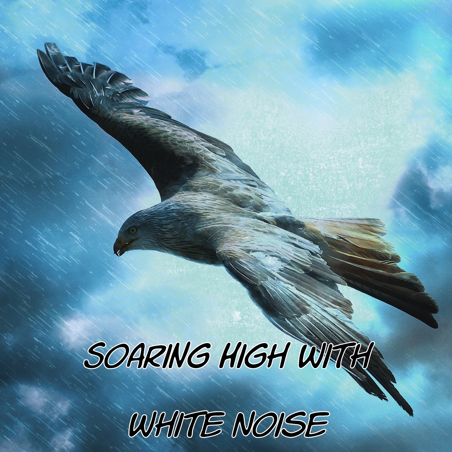 Soaring High With White Noise