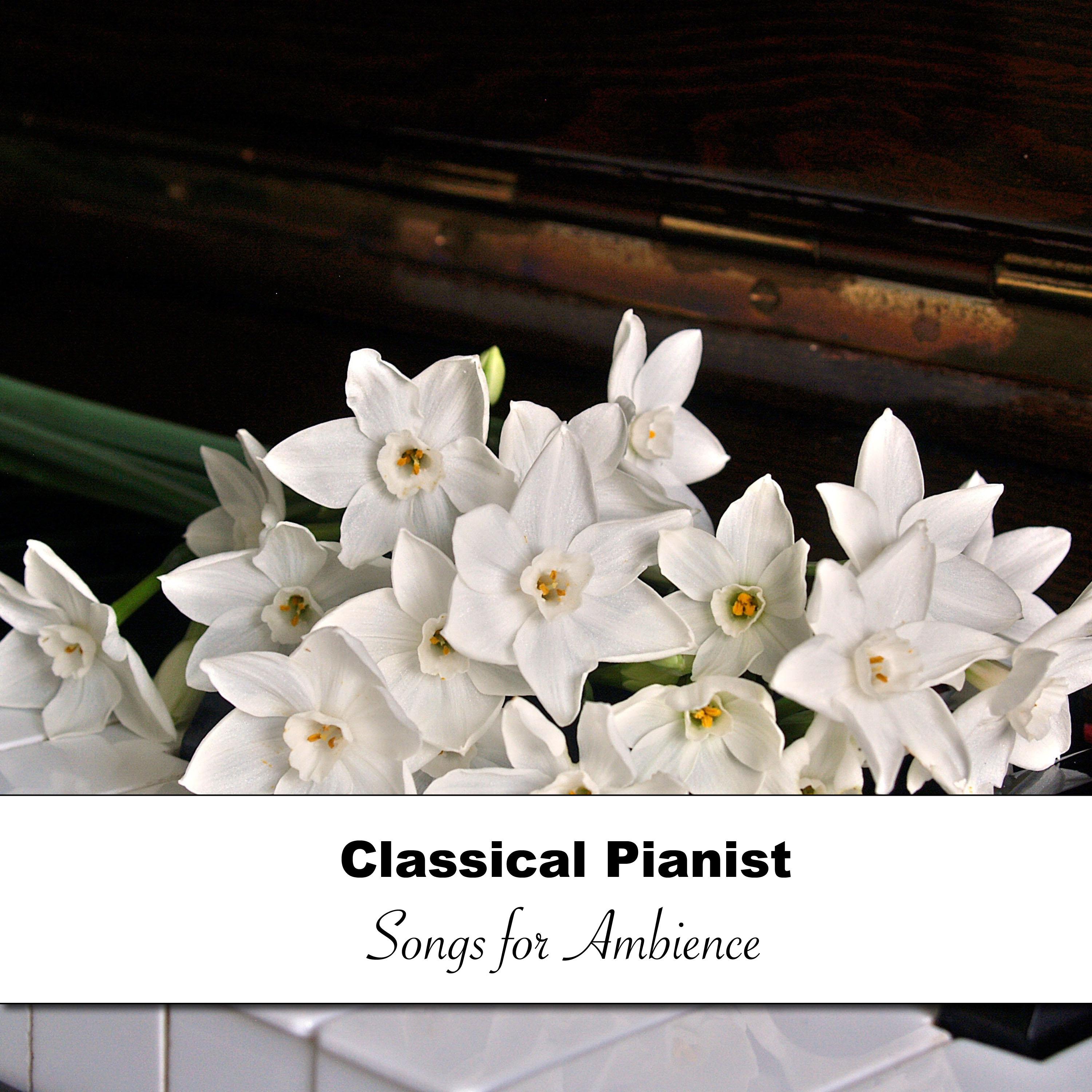 18 Classical Pianist Songs for Ambience