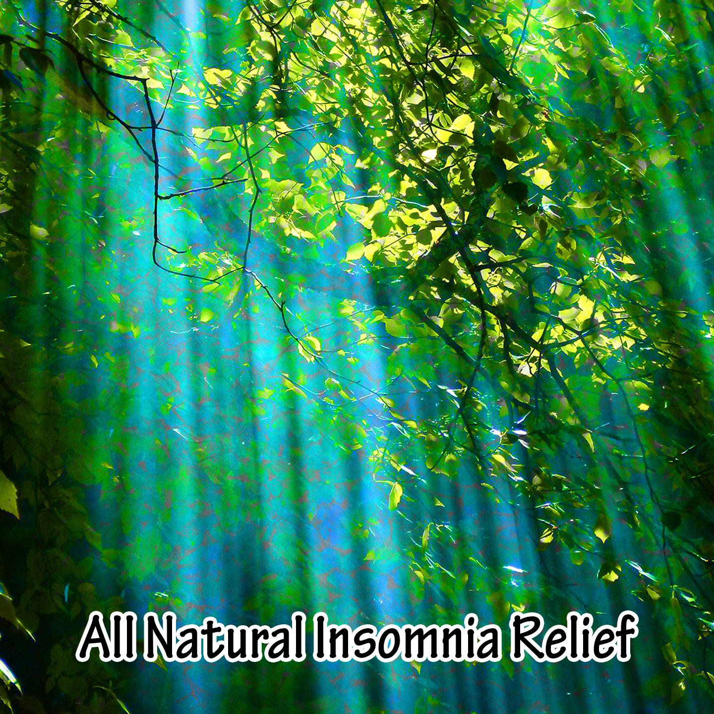 All Natural Insomnia Relief