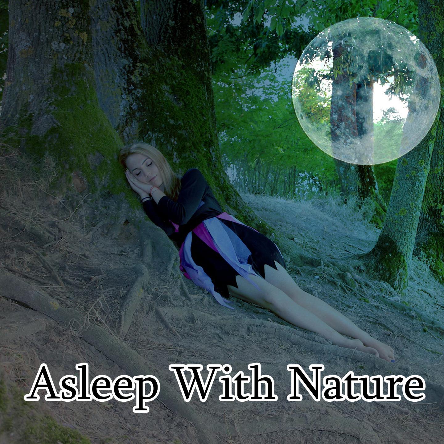 Asleep With Nature