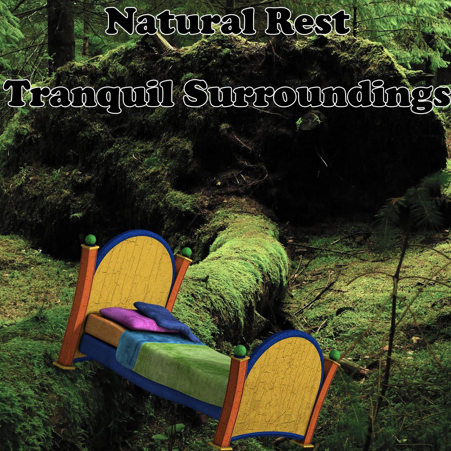 Natural Rest Tranquil Surroundings