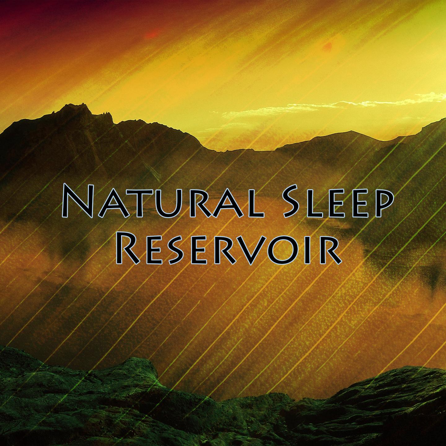 Natural Sleep Reservoir