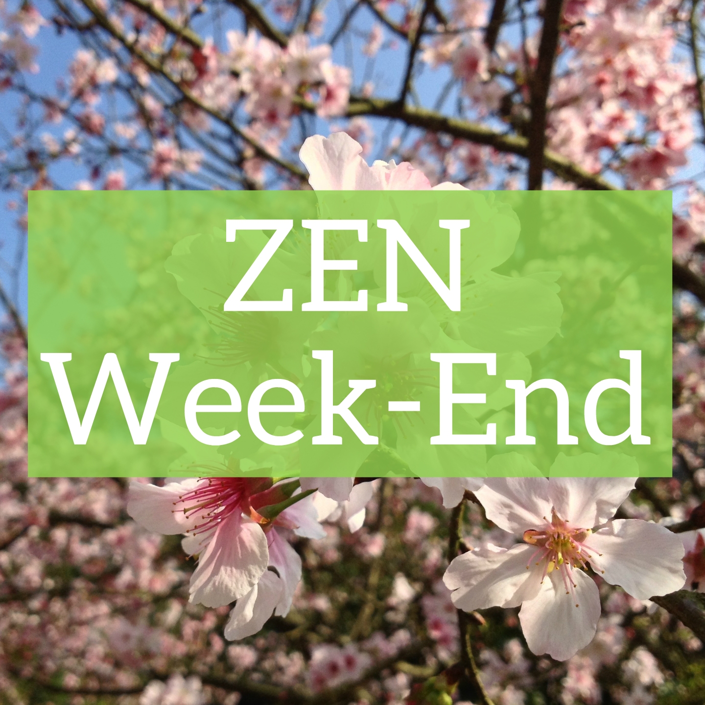 Zen Week-End