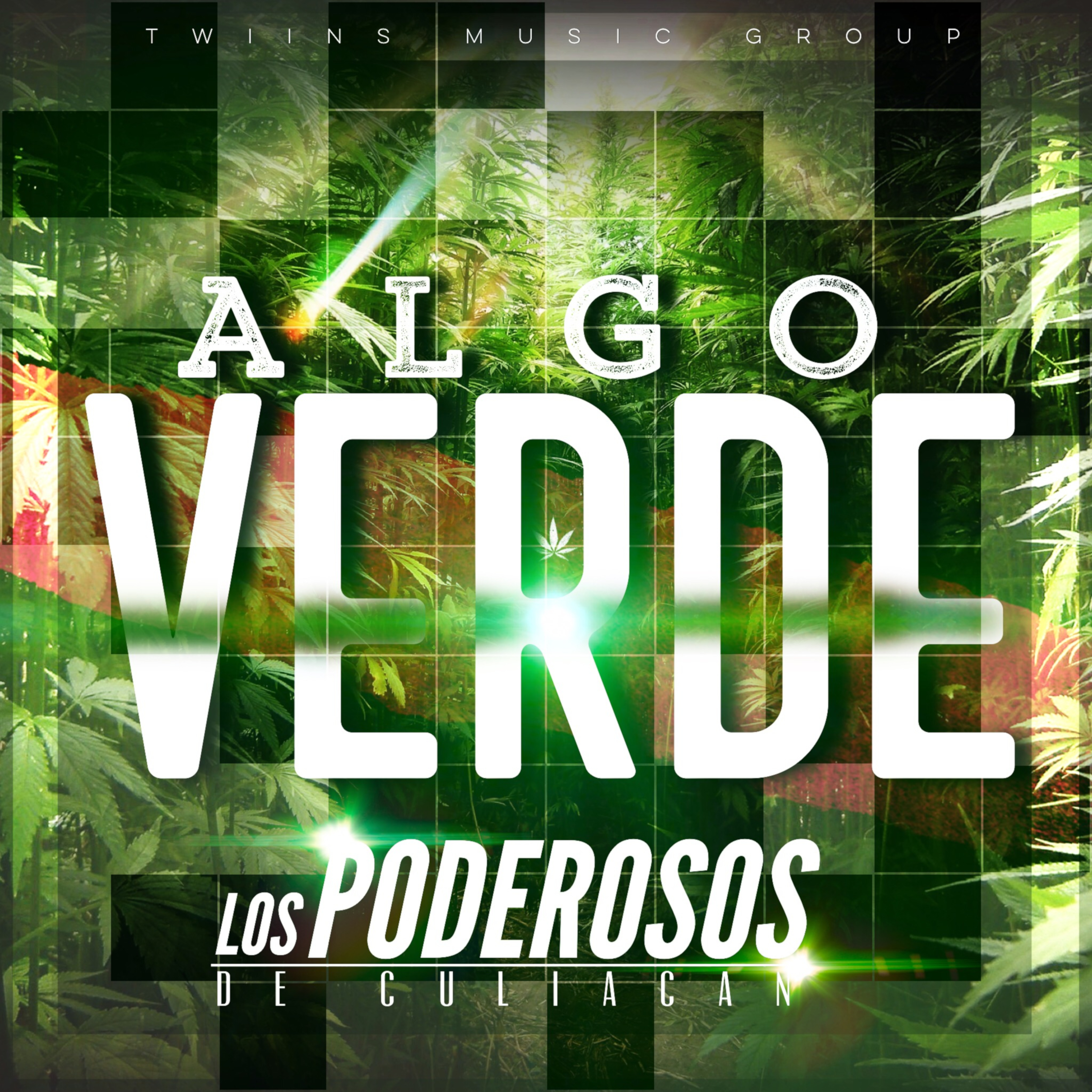 Algo Verde