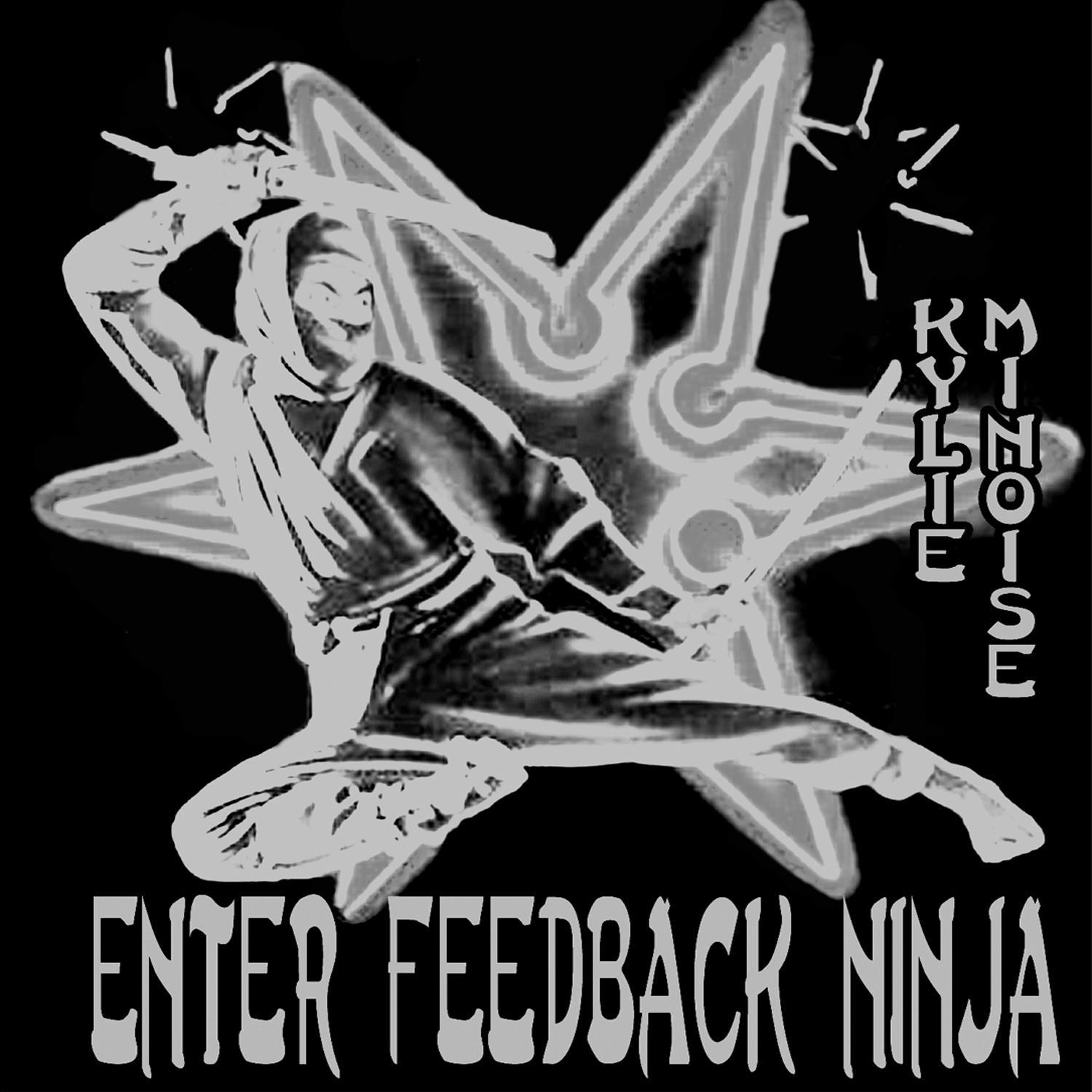 Enter Feedback Ninja